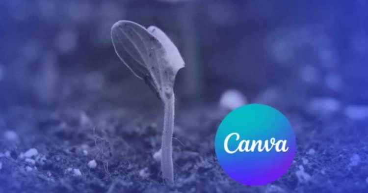 Canva Essentials with Ronny and Diana